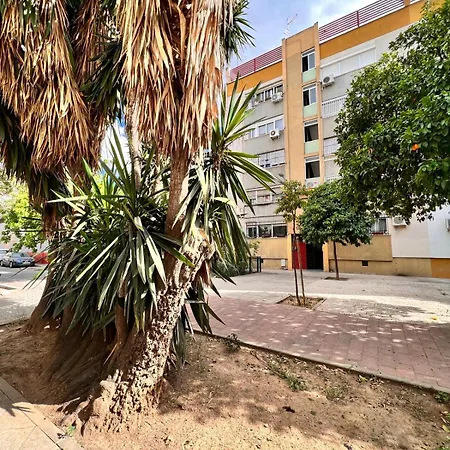 Comfortable & Apartamento